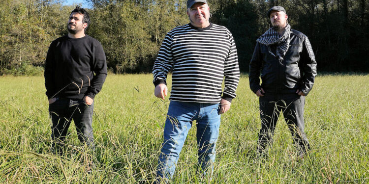 La urgencia del garaje llega a Vigo: Os Bar Ban Sónicos presentan su tercer asalto sonoro