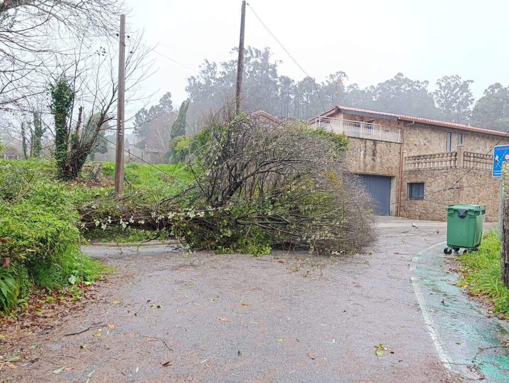 La Borrasca Nils llegó tras Goretti, Harry, Ingrid, Joseph, Kristin, Leonardo y Marta. Y esta Nils fue especialmente huracanada. Las fuertes rachas de viento marcaron la jornada en toda Galicia. La caída de árboles, derrumbes de muros y deslizamiento de tierras se reproducen. También este miércoles se vio afectado el tráfico aéreo, con dos vuelos desviados en Peinador.