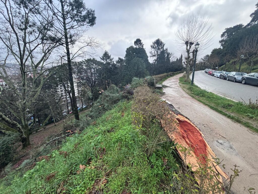La Borrasca Nils llegó tras Goretti, Harry, Ingrid, Joseph, Kristin, Leonardo y Marta. Y esta Nils fue especialmente huracanada. Las fuertes rachas de viento marcaron la jornada en toda Galicia. La caída de árboles, derrumbes de muros y deslizamiento de tierras se reproducen. También este miércoles se vio afectado el tráfico aéreo, con dos vuelos desviados en Peinador.
