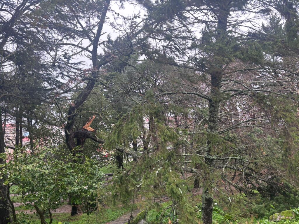 La Borrasca Nils llegó tras Goretti, Harry, Ingrid, Joseph, Kristin, Leonardo y Marta. Y esta Nils fue especialmente huracanada. Las fuertes rachas de viento marcaron la jornada en toda Galicia. La caída de árboles, derrumbes de muros y deslizamiento de tierras se reproducen. También este miércoles se vio afectado el tráfico aéreo, con dos vuelos desviados en Peinador.