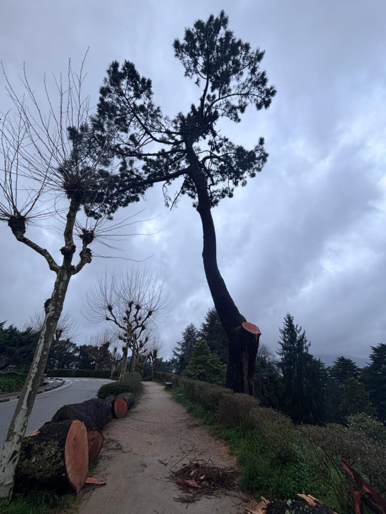 La Borrasca Nils llegó tras Goretti, Harry, Ingrid, Joseph, Kristin, Leonardo y Marta. Y esta Nils fue especialmente huracanada. Las fuertes rachas de viento marcaron la jornada en toda Galicia. La caída de árboles, derrumbes de muros y deslizamiento de tierras se reproducen. También este miércoles se vio afectado el tráfico aéreo, con dos vuelos desviados en Peinador.