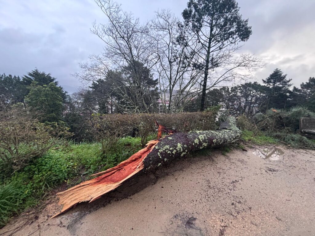 La Borrasca Nils llegó tras Goretti, Harry, Ingrid, Joseph, Kristin, Leonardo y Marta. Y esta Nils fue especialmente huracanada. Las fuertes rachas de viento marcaron la jornada en toda Galicia. La caída de árboles, derrumbes de muros y deslizamiento de tierras se reproducen. También este miércoles se vio afectado el tráfico aéreo, con dos vuelos desviados en Peinador.
