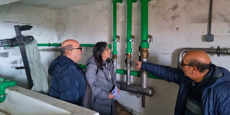 Alarma: detectan altas concentraciones de plomo en el agua del entorno del IES Beade