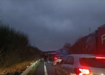 Corte total al tráfico en la A52 en sentido Vigo por la caída de un árbol