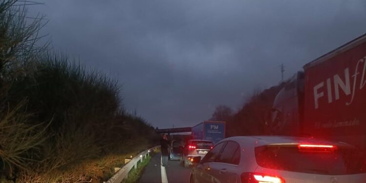 Corte total al tráfico en la A52 en sentido Vigo por la caída de un árbol