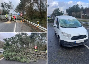 Un árbol corta la A55 en O Porriño tras desplomarse sobre una furgoneta en marcha