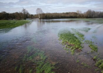 Tui y Salvaterra, en nivel rojo por la crecida de los ríos