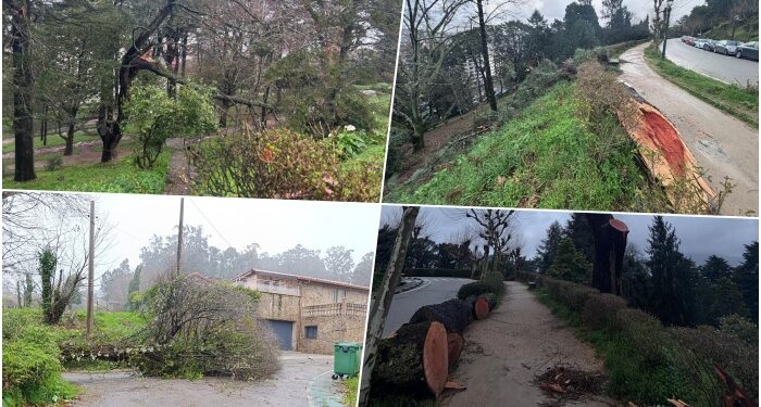 Una Borrasca Nils huracanada: árboles derribados en O Castro, tornado en Mos y vuelos desviados