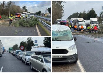 Un árbol corta la A55 en O Porriño tras desplomarse sobre una furgoneta en marcha
